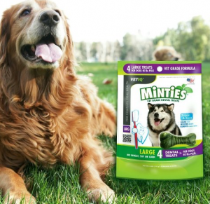 free-sample-minties-dog-treats