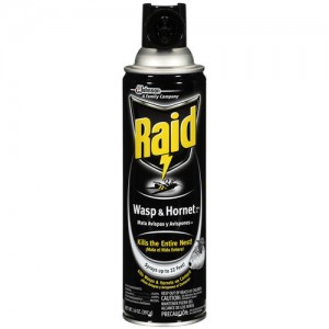 raid
